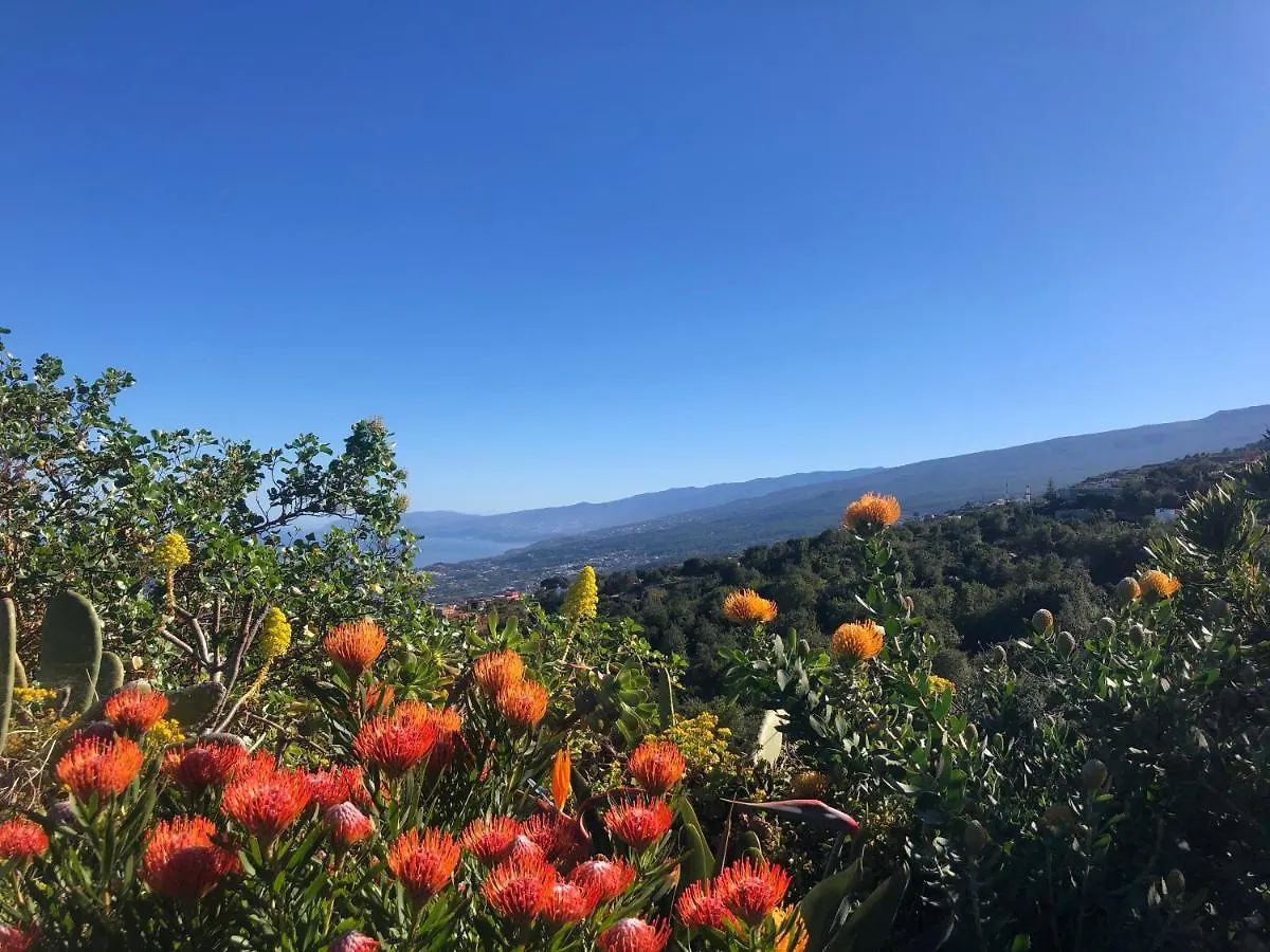 Holiday home Ecolodge Tenerife Genoves