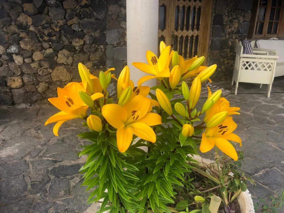 Ecolodge TenerifeGenovés