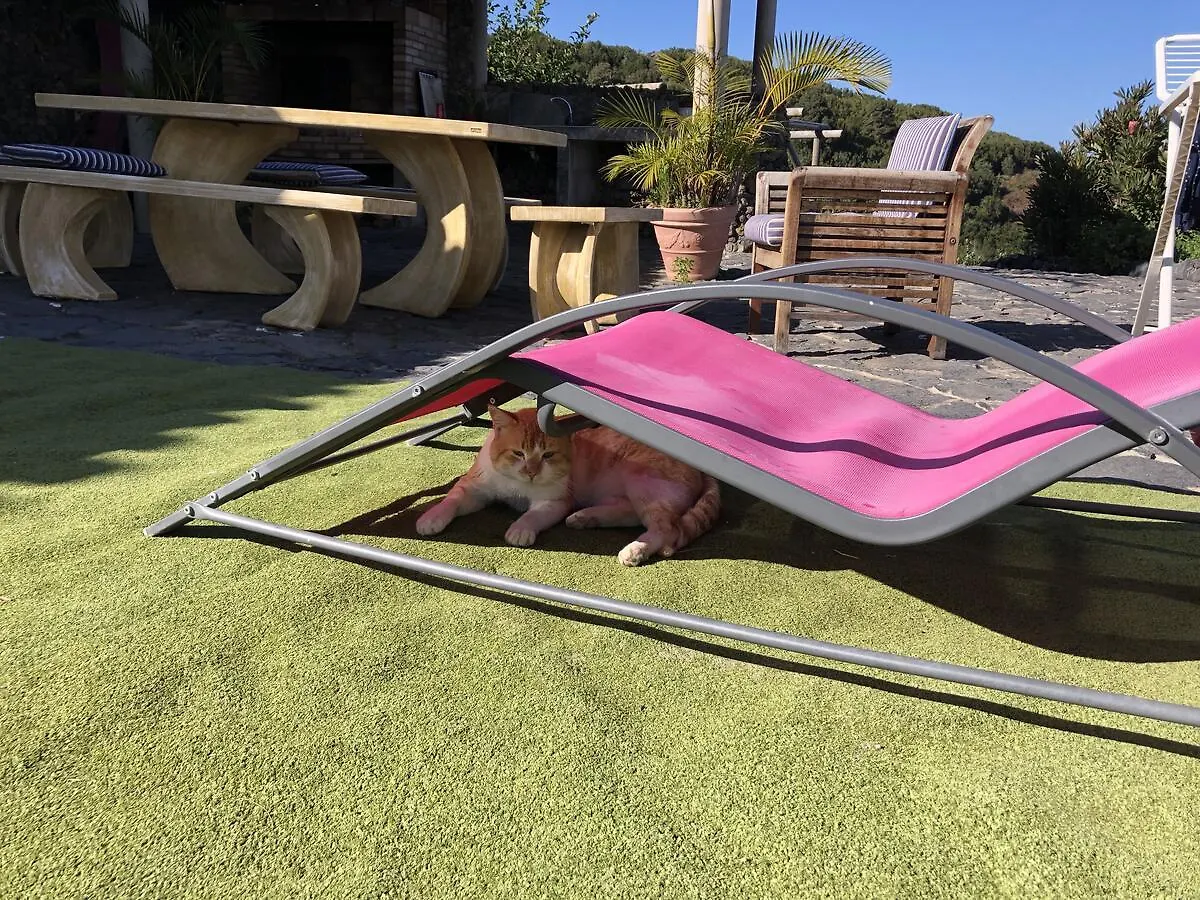Ecolodge TenerifeGenovés